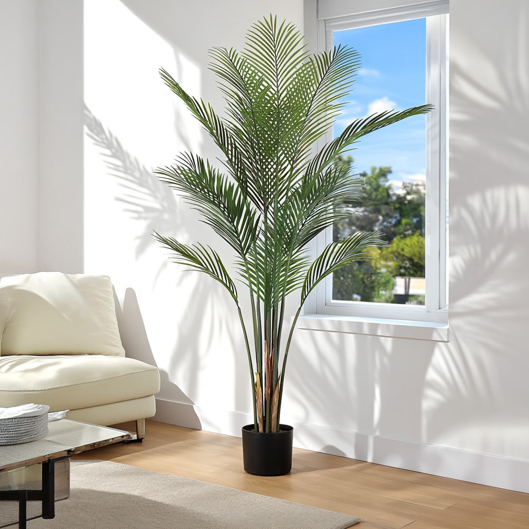 Oasis Palm Tree
